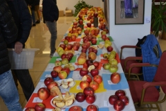 TOM_9794